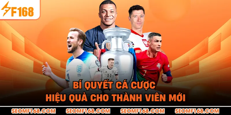 Bí quyết cá cược hiệu quả cho thành viên mới