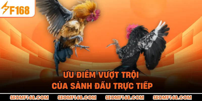 Ưu điểm vượt trội của sảnh đấu trực tiếp